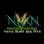 NKKN